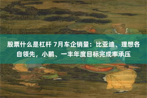 股票什么是杠杆 7月车企销量：比亚迪、理想各自领先，小鹏、一丰年度目标完成率承压