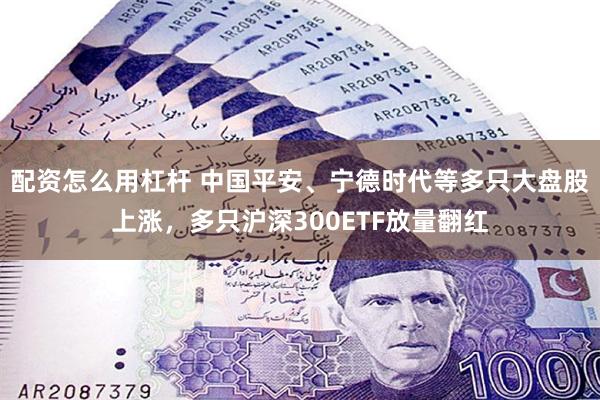 配资怎么用杠杆 中国平安、宁德时代等多只大盘股上涨，多只沪深300ETF放量翻红