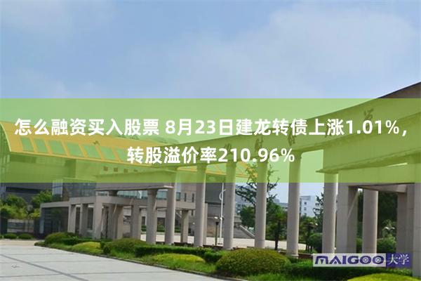 怎么融资买入股票 8月23日建龙转债上涨1.01%，转股溢价率210.96%