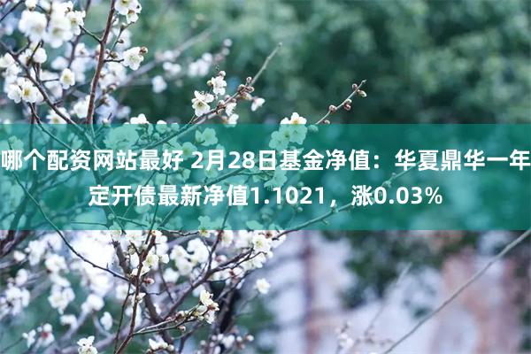 哪个配资网站最好 2月28日基金净值：华夏鼎华一年定开债最新净值1.1021，涨0.03%