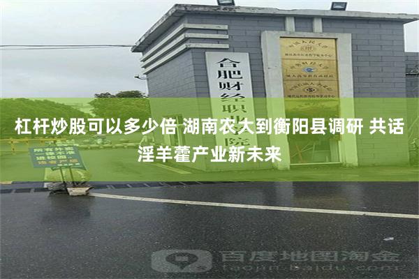 杠杆炒股可以多少倍 湖南农大到衡阳县调研 共话淫羊藿产业新未来